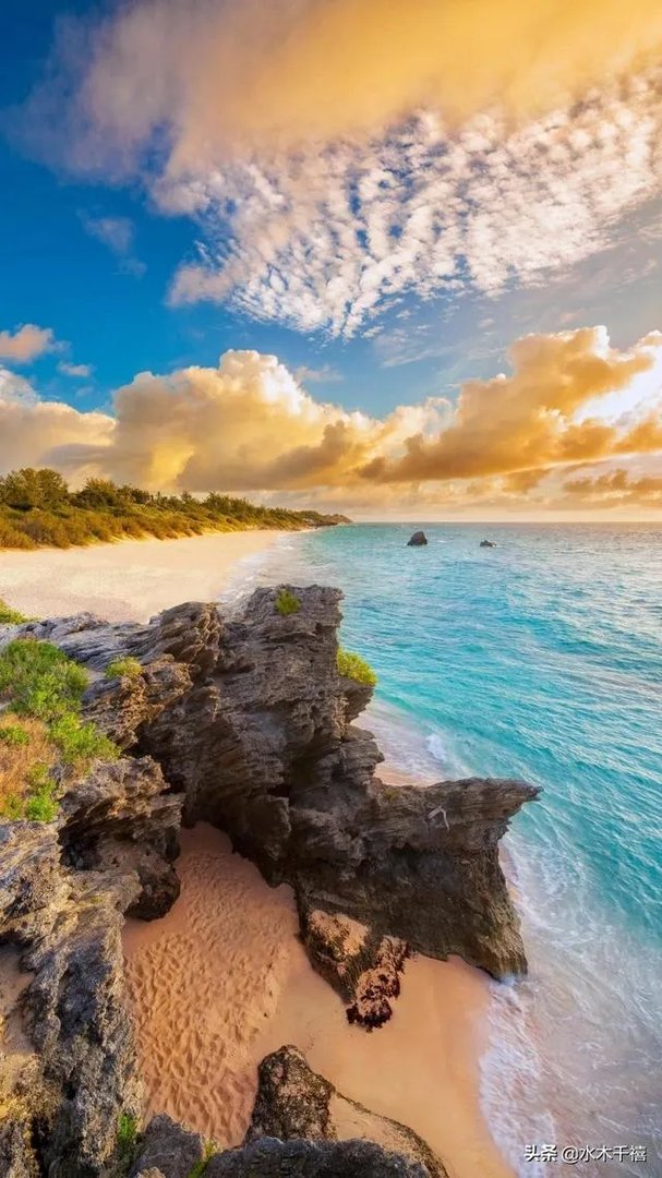 陈林坚23+5三分帮助福建逆转天津，他的三分球能力这么强，为何李楠不带他？