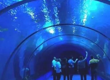 福建一鲨鱼馆发生致人死亡事故,谁应该为这次事故负责?