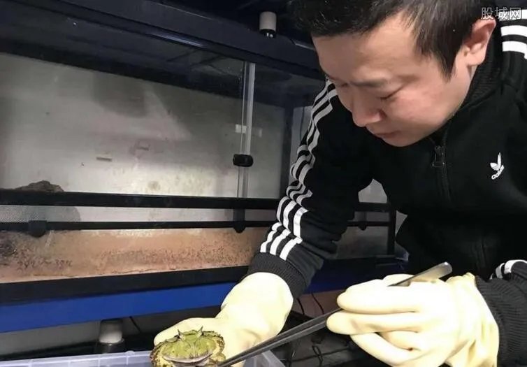 男子十年花近百万养蛙 2018年青蛙养殖赚钱吗