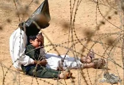 新华社祝贺伊拉克销毁化武