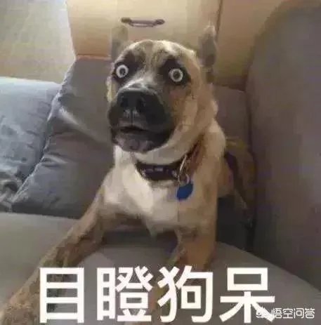 哪里的美术画室比较好？