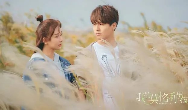 我的莫格利男孩评价如何:我的莫格利男孩结局什么意思