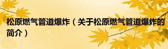松原燃气管道爆炸（关于松原燃气管道爆炸的简介）