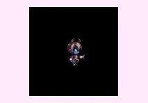 DNF2013春节礼包 宠物属性全展示附图片