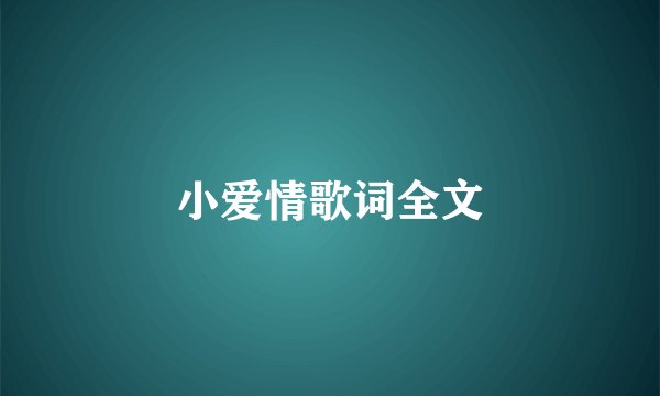 小爱情歌词全文