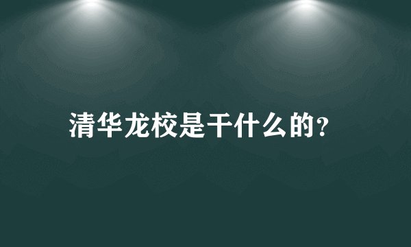 清华龙校是干什么的？
