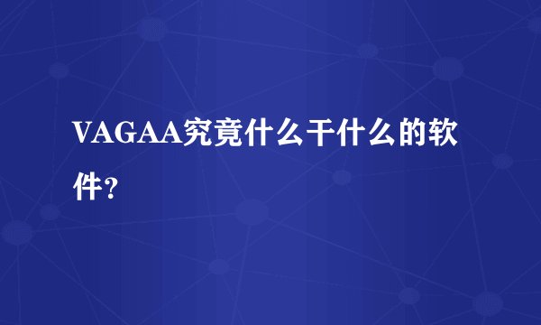 VAGAA究竟什么干什么的软件?
