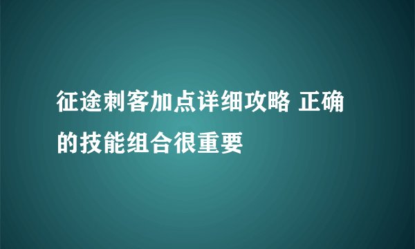 征途刺客加点详细攻略 正确的技能组合很重要