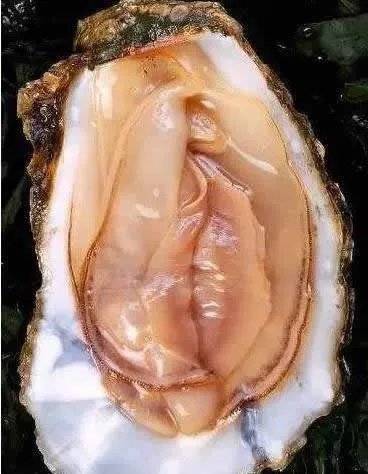 13个图片看你污不污:第一样看就能迷惑到你