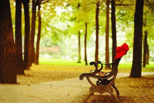 沈清辞柳云戟小说 将军我不要你了在线阅读