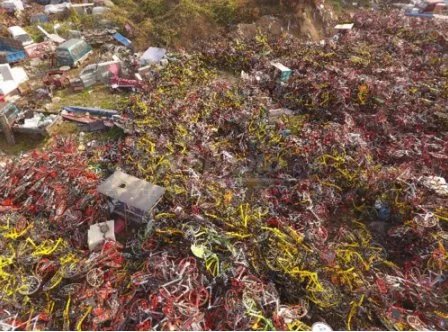 郑州近万辆共享单车占道被清理了吗?