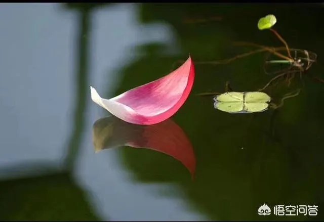 连高考时间都能忘记的人，以后工作还能遵守纪律吗？