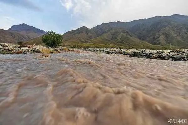 23年前洪水中抱树女孩成为警察，当年到底发生了什么？