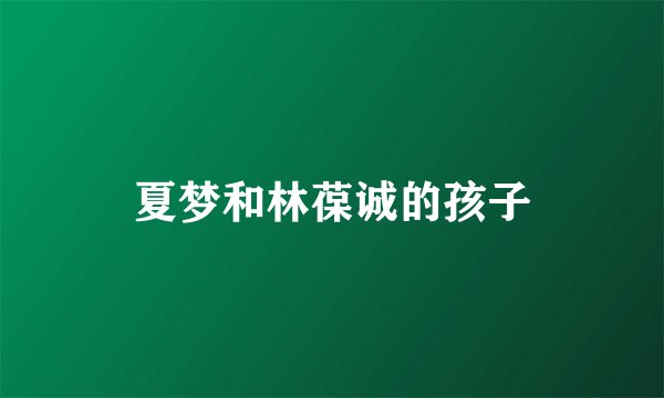 夏梦和林葆诚的孩子