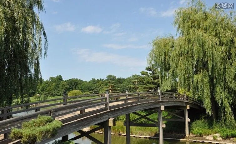 英国夫妇收过桥费 每年收益10万英镑收入惊人