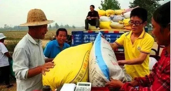 粮库竞拍玉米有大量虫眼,中储粮将会采取怎样的急救工作?