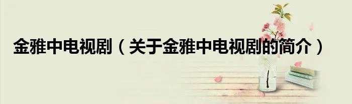 金雅中电视剧（关于金雅中电视剧的简介）