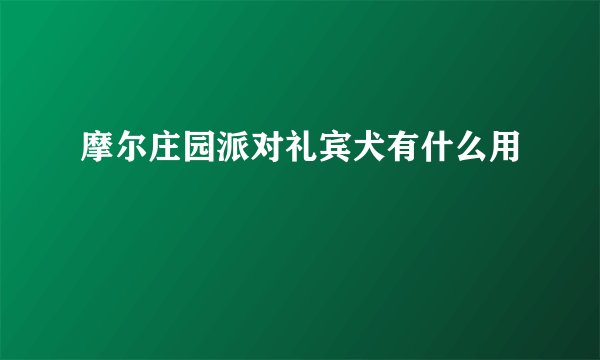 摩尔庄园派对礼宾犬有什么用