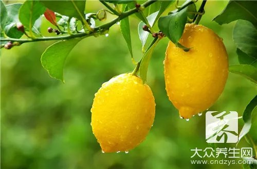 开水瓶里的水垢怎么清理