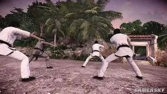 热血无赖在十二宫岛收集的雕像有什么用？