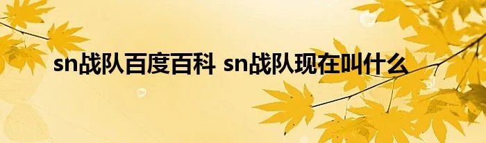 sn战队百度百科 sn战队现在叫什么