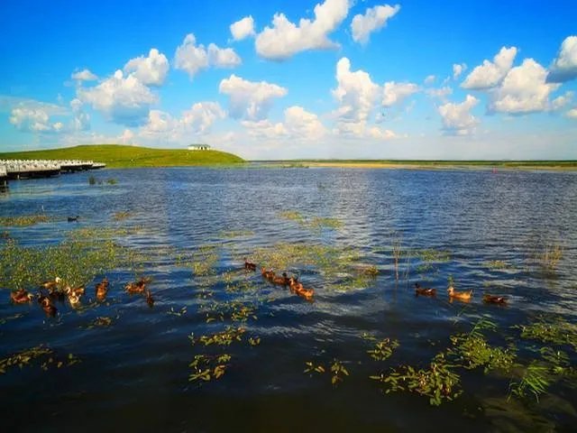 马云捐款1亿保护湿地,湿地的保护措施有哪些?