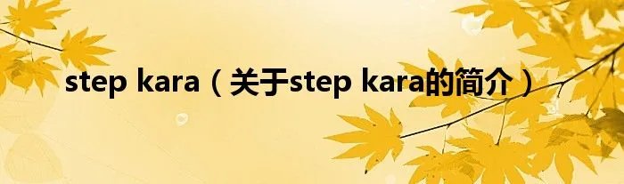 step kara(关于step kara的简介)
