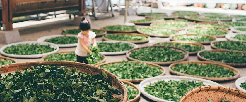 【上海活动】上海节庆活动 上海节日庆典 相聚上海盛会