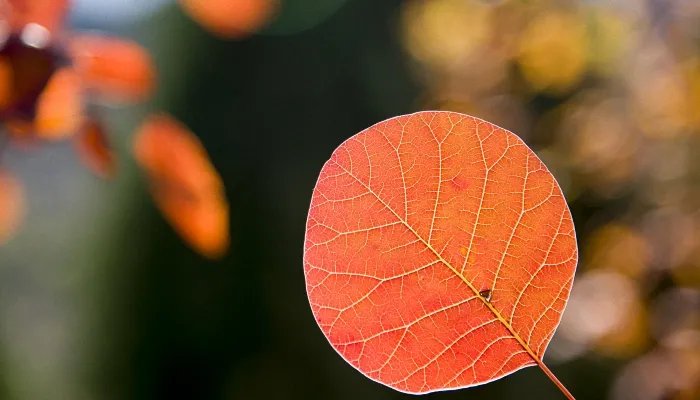 好听qq相册名称大全 qq相册分类名称大全可爱