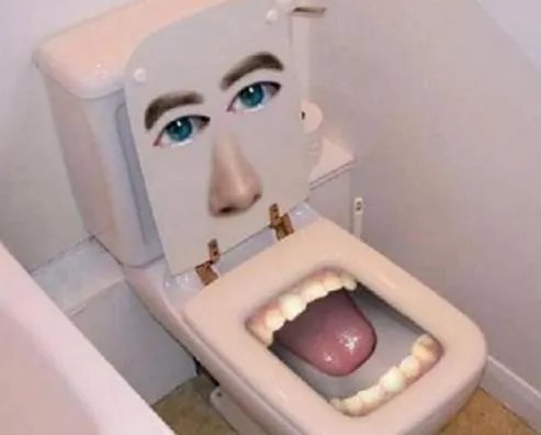 家庭生活小窍门 马桶堵塞学会这招轻松搞定(图)