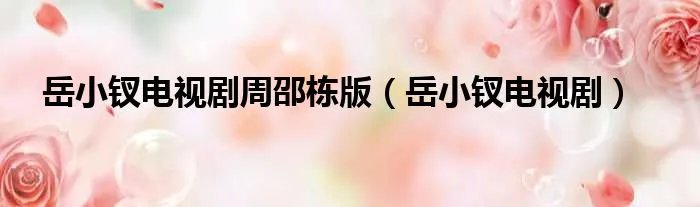 岳小钗电视剧周邵栋版（岳小钗电视剧）