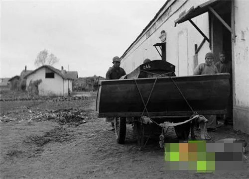 陕西挖出千年棺木 竟出现邪物虐杀村民(组图)