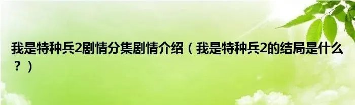 我是特种兵2剧情分集剧情介绍（我是特种兵2的结局是什么？）