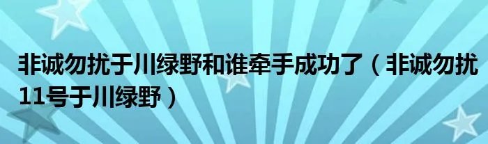 非诚勿扰于川绿野和谁牵手成功了(非诚勿扰11号于川绿野)