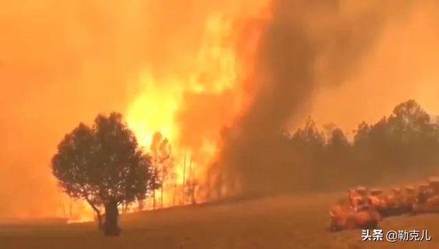 西昌山火为什么会死这么多人?