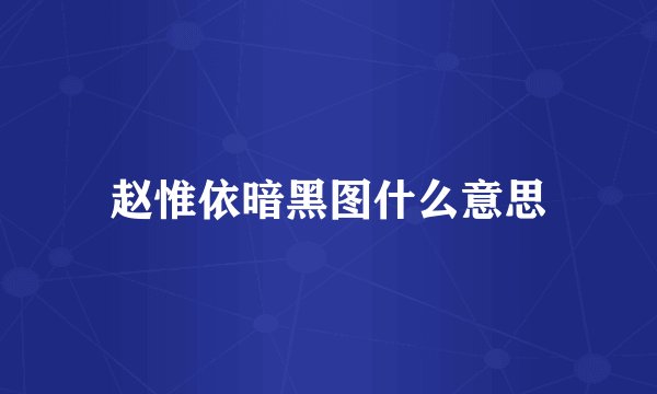 赵惟依暗黑图什么意思