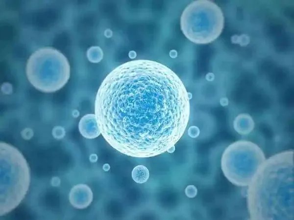 2023去美国冻卵费用可不低，一年要多少钱心里要有数