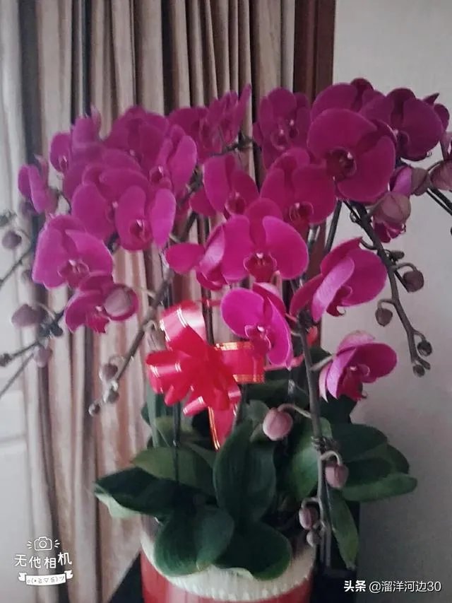 张伯礼最新判断:此次疫情有望3月初结束