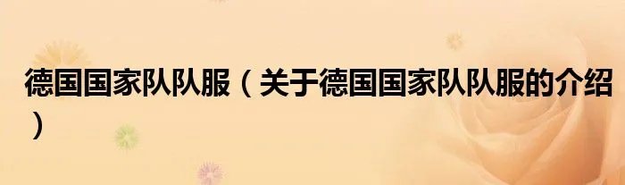 德国国家队队服（关于德国国家队队服的介绍）