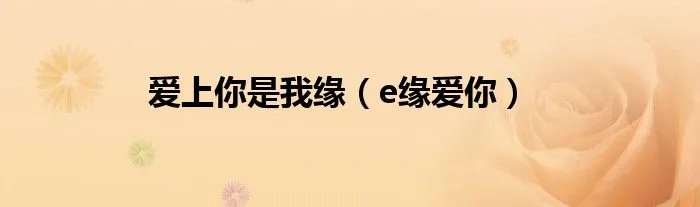 爱上你是我缘（e缘爱你）