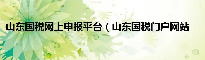 山东国税网上申报平台（山东国税门户网站
