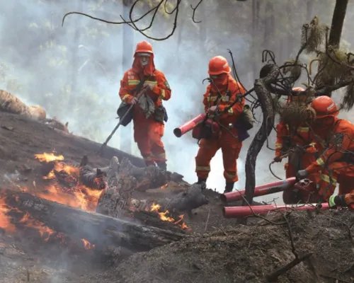 日本大阪大楼起火27人心肺功能停止，导致这起大火的原因是什么？