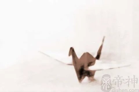 测桃花运的测试看你的桃花指数有多少