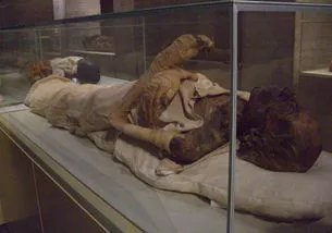 千年女尸产下7公斤活婴 女尸产下婴儿活72小时