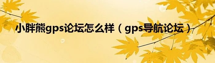 小胖熊gps论坛怎么样（gps导航论坛）