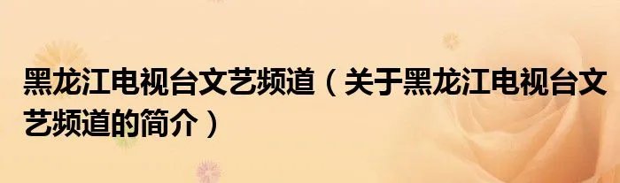 黑龙江电视台文艺频道(关于黑龙江电视台文艺频道的简介)