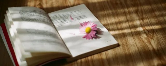 迎接2020年的短语 迎接2020年的短语有什么