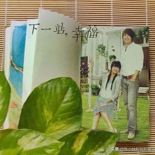 如何评价台剧《下一站幸福》?