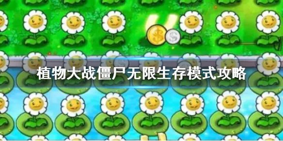 《植物大战僵尸》无限生存模式攻略  怎么排阵容？