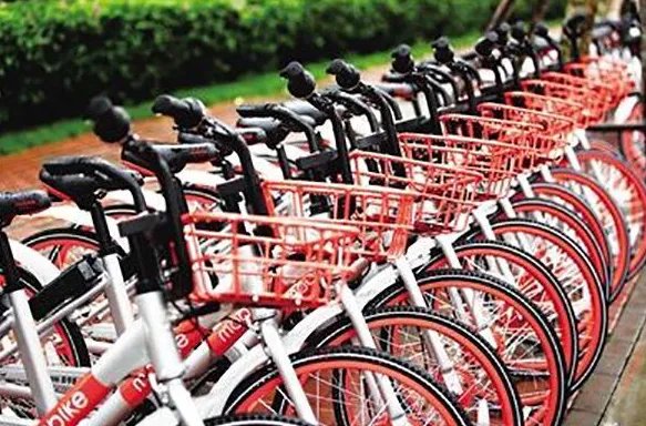 摩拜女员工举报是因为什么事情？